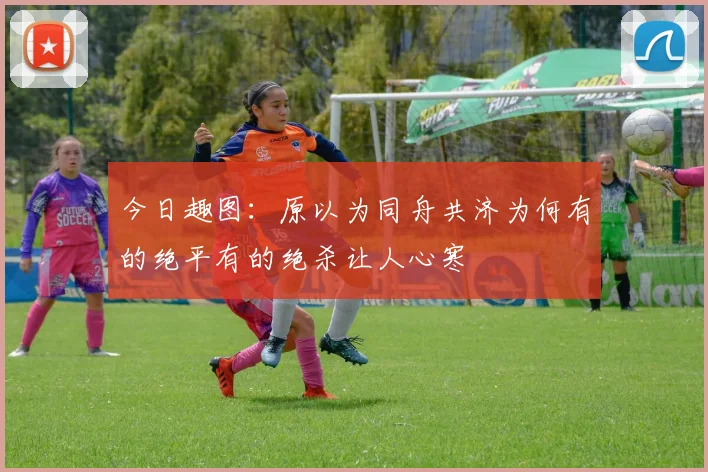 今日趣图：原以为同舟共济为何有的绝平有的绝杀让人心寒